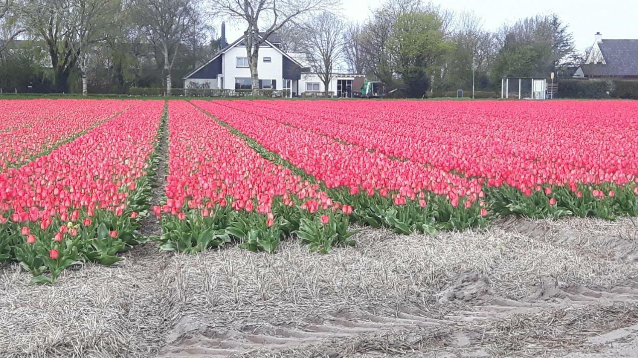 Vrijstaande Blokhut Egmond-Binnen Exterior foto