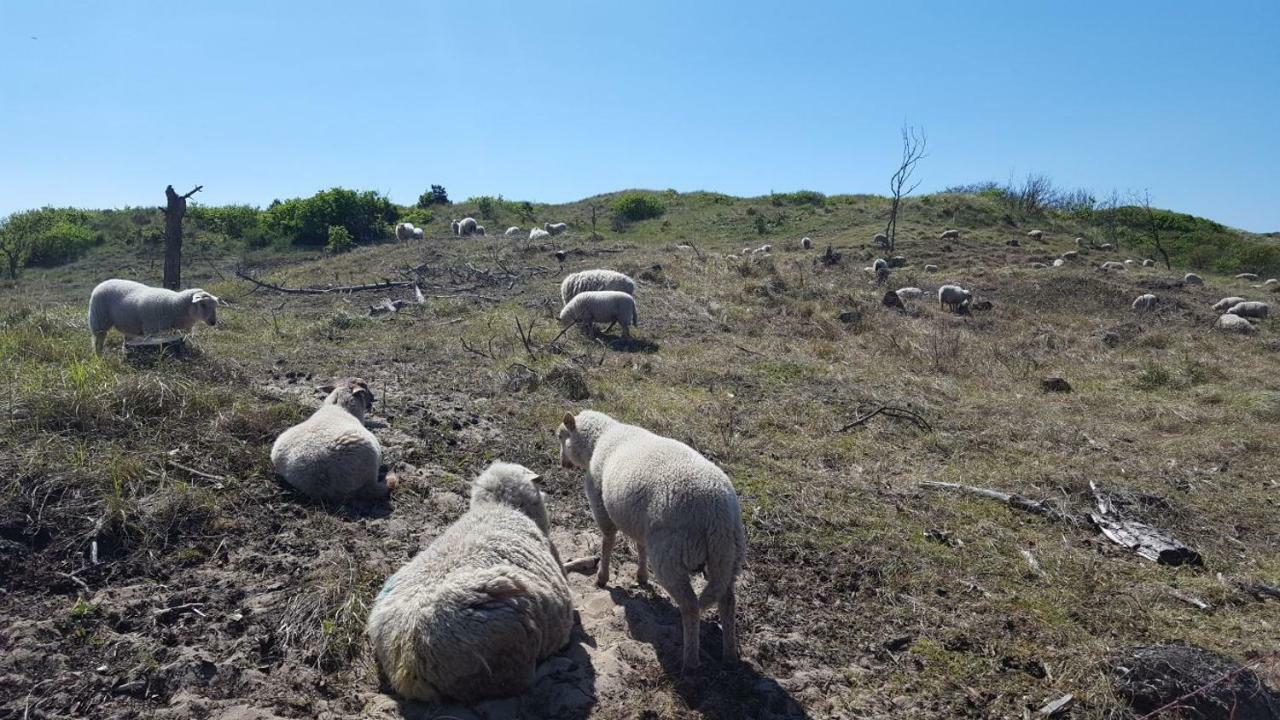 Vrijstaande Blokhut Egmond-Binnen Exterior foto
