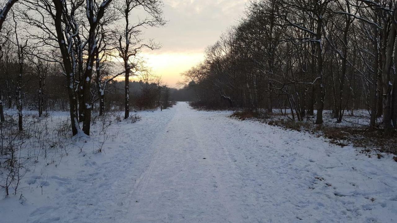 Vrijstaande Blokhut Egmond-Binnen Exterior foto